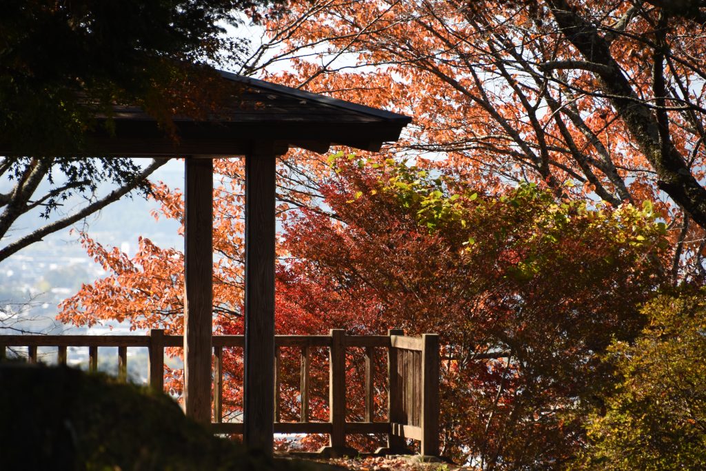 林公園（かきっ子公園）／紅葉 ギャラリー画像1
